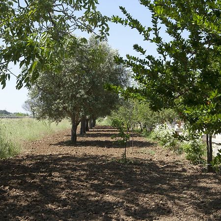 Villa Urso Bedwine Monteroni di Lecce Eksteriør bilde